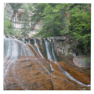 Carreau En Céramique Cascade, Parc national de Zion, Utah, États-Unis