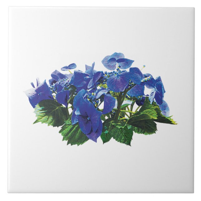 Carreau En Céramique Casquette dentelle bleu foncé Hydrangea (Devant)