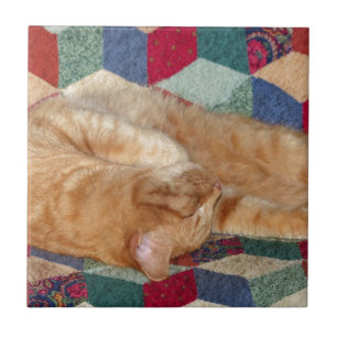 Carreau En Céramique Cat Napping