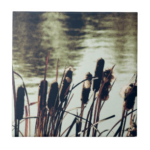 Carreau En Céramique Cattails, Plantes d'étang
