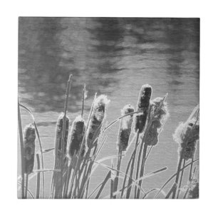 Carreau En Céramique Cattails près de l'étang en noir et blanc