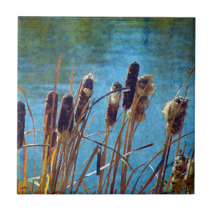 Carreau En Céramique Cattails sur l'étang