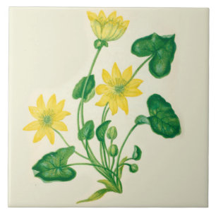 Carreau En Céramique Celandine de carreau de céramique de cuisine de