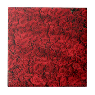 Carreau En Céramique Centaines de beaux roses rouges