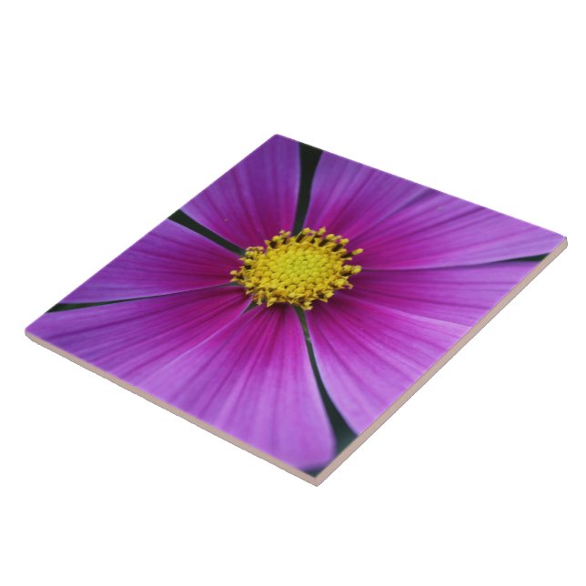 Carreau En Céramique Centre du carrelage Cosmos (Côté)