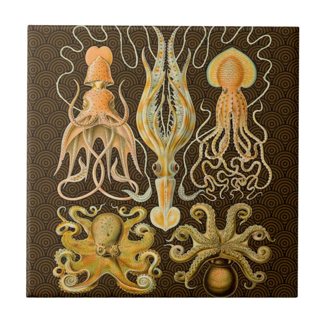 Carreau En Céramique Cephalopod poulpe calmar Nature marine (Devant)
