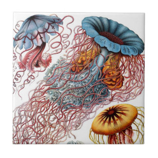 Carreau En Céramique Céramique de méduses de Haeckel