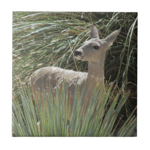 Carreau En Céramique Cerf