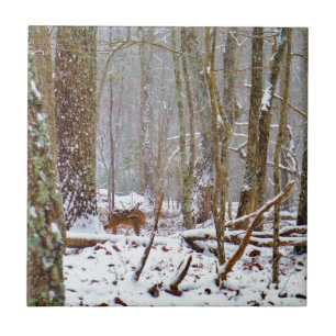 Carreau En Céramique Cerf dans la neige, lécher la jambe