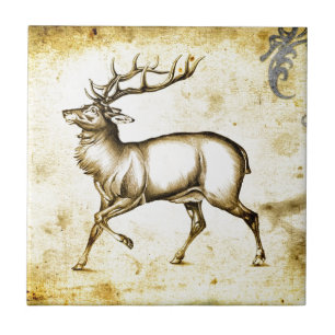 Carreau En Céramique Cerfs communs vintages du fineart F076