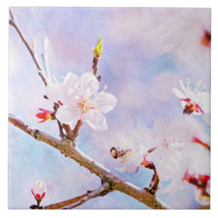 Carreau En Céramique Cerise Japonaise - Sakura En Fleur