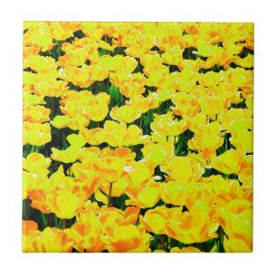 Carreau En Céramique Champ de tulipe - jaune or