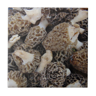 Carreau En Céramique Champignons de morelle