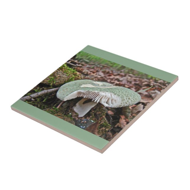 Carreau En Céramique Champignons verts - Russula crusosa (Côté)
