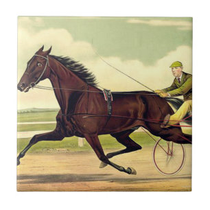Carreau En Céramique Champion boudeur SUPÉRIEUR