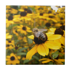 CARREAU EN CÉRAMIQUE CHAMPS DE MARGUERITES & ABEILLE À MIEL MAGNIFIQUES