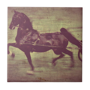 Carreau En Céramique Chanson de Saddlebred