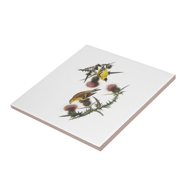 Carreau En Céramique Chardonneret américain par Audubon (Côté)