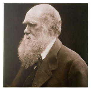 Carreau En Céramique Charles Darwin (1809-82) (photo)