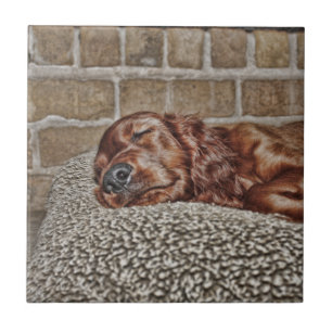 Carreau En Céramique Charme