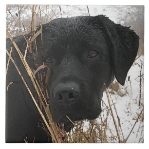Carreau En Céramique Chasse de fin de saison - Black Lab - Labrador