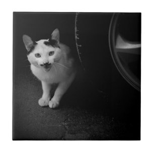 Carreau En Céramique Chat avec Moustache