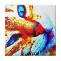 Chat d'aquarium populaire