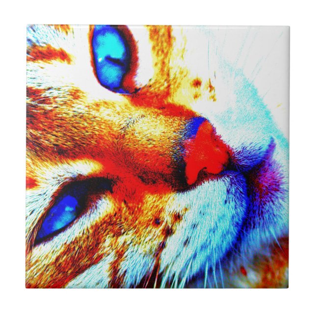 Carreau En Céramique Chat d'aquarium populaire (Devant)