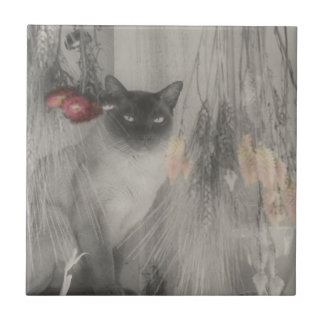 Carreau En Céramique Chat Siamois Animal Noir Et Blanc