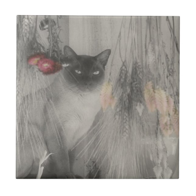 Carreau En Céramique Chat Siamois Animal Noir Et Blanc (Devant)