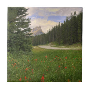 Carreau En Céramique Château Mountain Banff