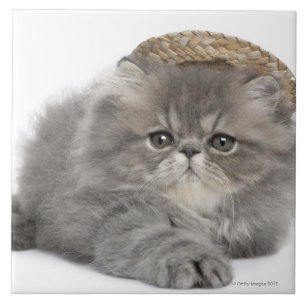 Carreau En Céramique Chaton persan (2 mois) portant une paille