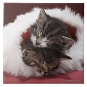 Carreau En Céramique Chatons endormis ensemble dans le casquette de