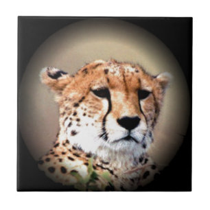 Carreau En Céramique Cheetah Tear Marks Hakunamatata