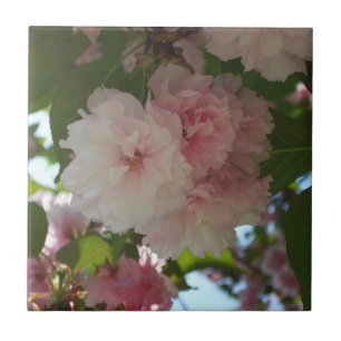 Carreau En Céramique Cherry Tree I Spring Floral