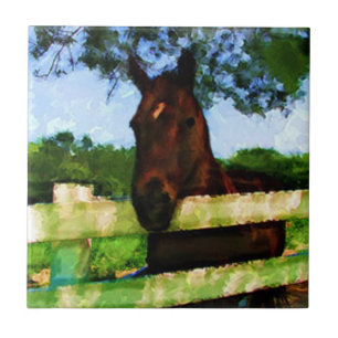 Carreau En Céramique Cheval amical