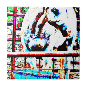 Carreau En Céramique Cheval blanc