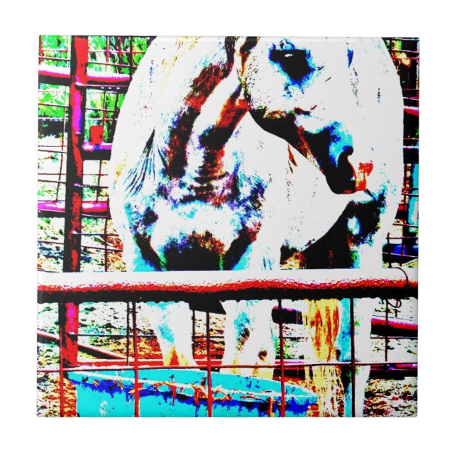 Carreau En Céramique Cheval blanc (Devant)