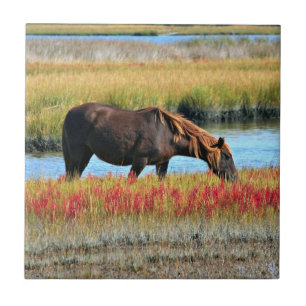 Carreau En Céramique Cheval brun paissant près d'un pré aquatique