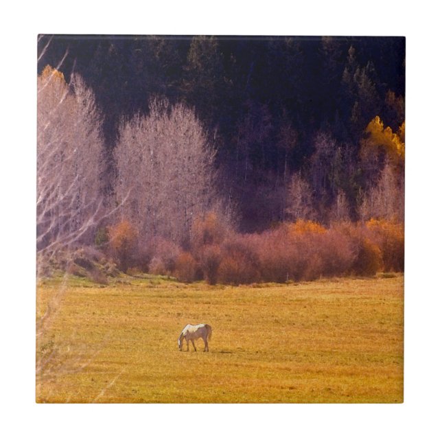 Carreau En Céramique Cheval dans l'automne I (Devant)
