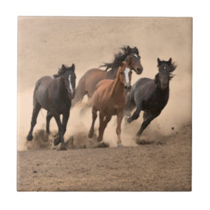 Carreau En Céramique Cheval dans l'automne II