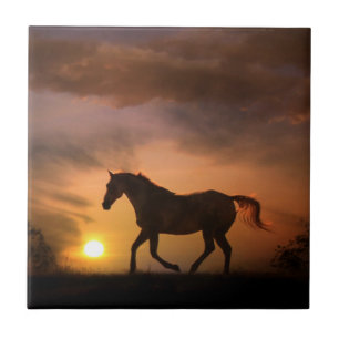 Carreau En Céramique Cheval de course dans Sunrise Art Tile