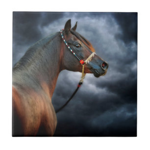 Carreau En Céramique Cheval de nuit