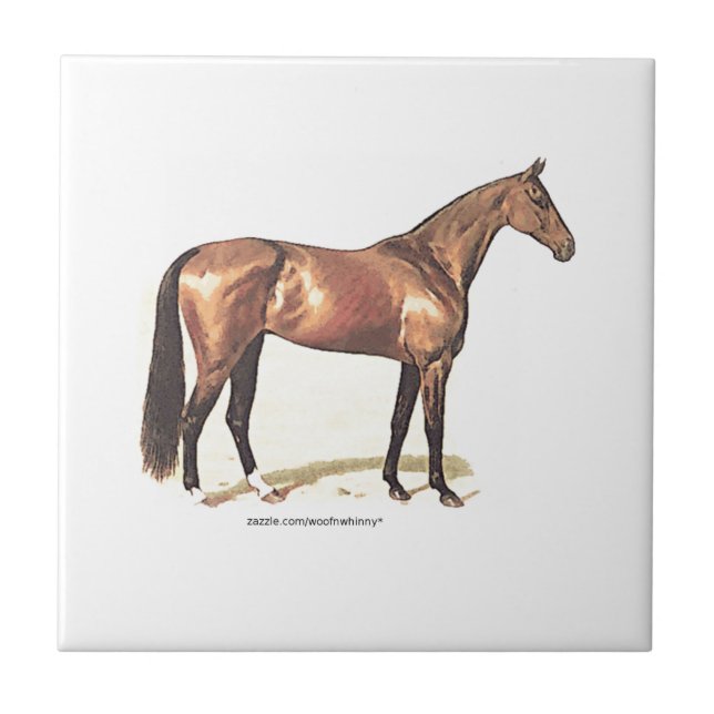 Carreau En Céramique Cheval de pur sang (Devant)