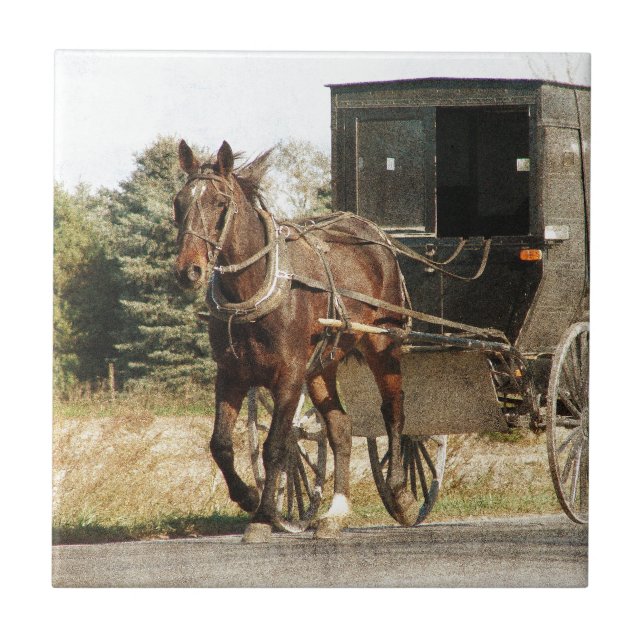 Carreau En Céramique Cheval et boguet amish (Devant)