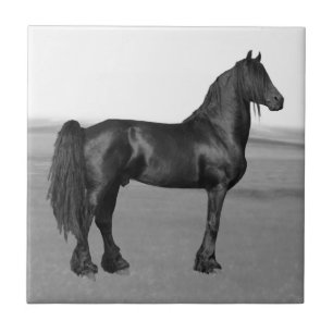 Carreau En Céramique Cheval noir frison fier d'étalon