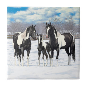 Carreau En Céramique Cheval Pinto Quarter Noir Chevaux Paint Chevaux Da