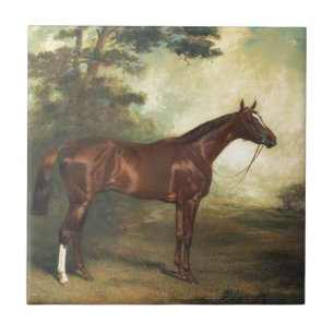 Carreau En Céramique Cheval vintage de pur sang