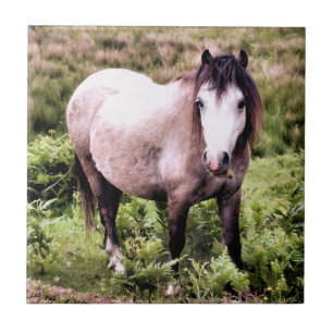 CARREAU EN CÉRAMIQUE CHEVAUX