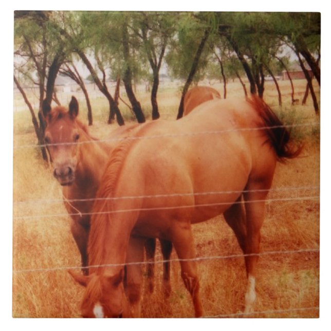 Carreau En Céramique Chevaux (Devant)
